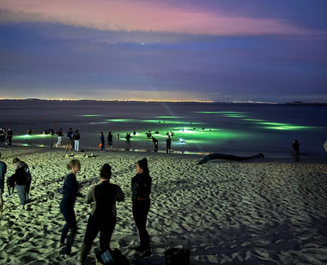 Divers Night 2024: Cape Town’s Dive Community Shines Bright!