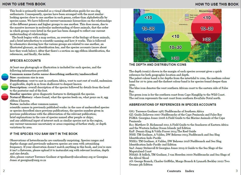 Southern African Sea Slugs