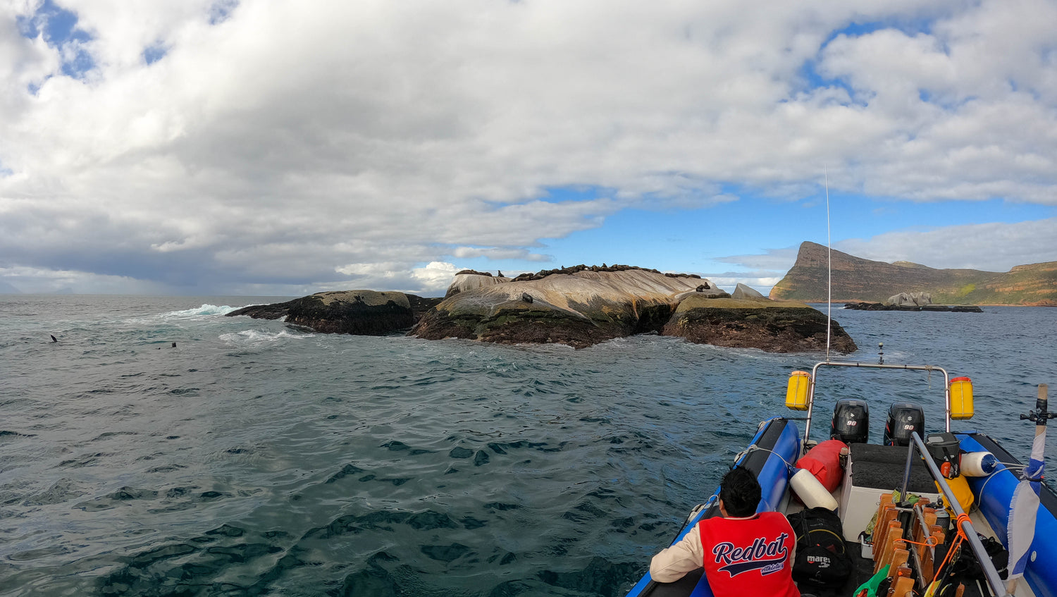 Seals at partridge point