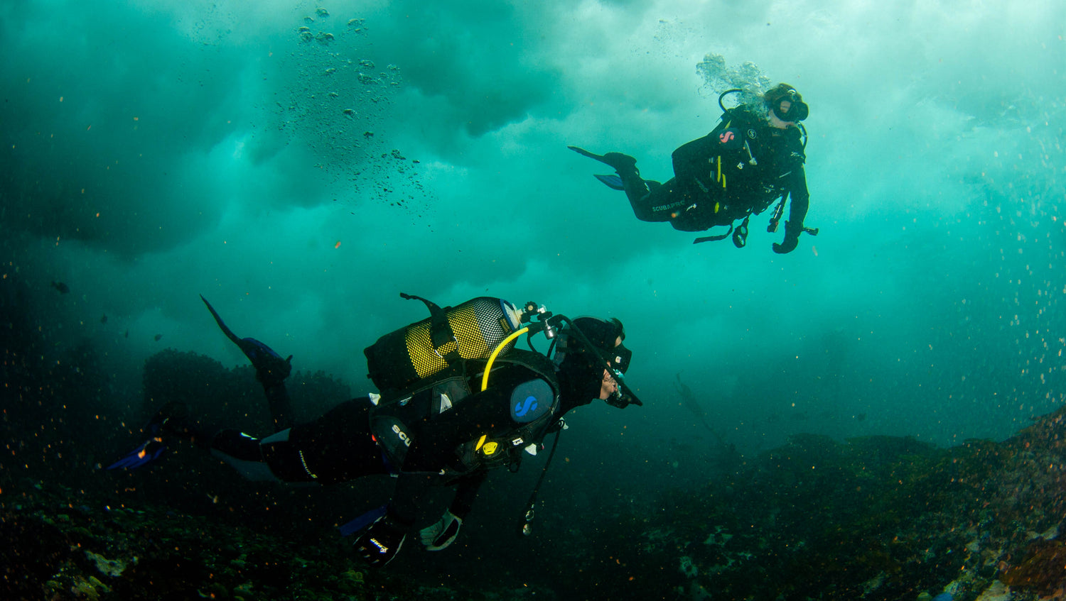 Divers exploring the reef, just below the waves in simonstown