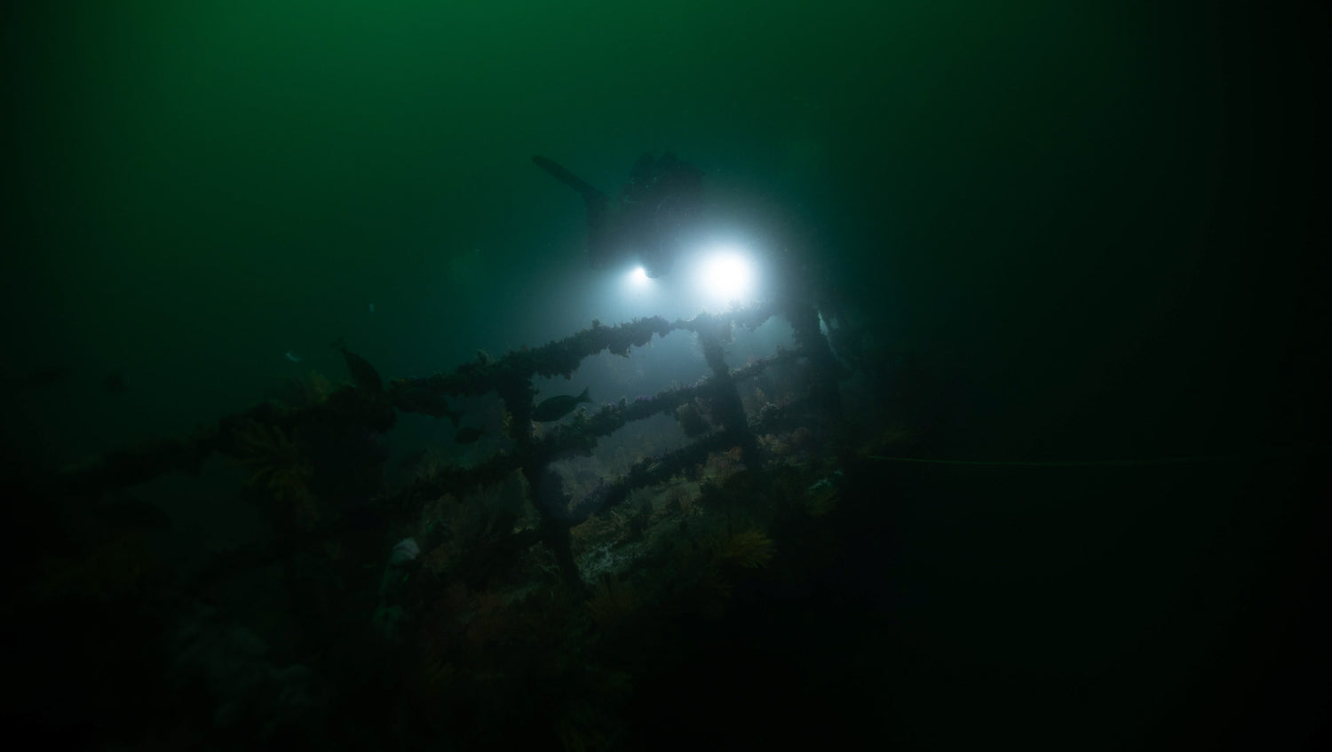 Torches illuminate a wreck at night in cape town