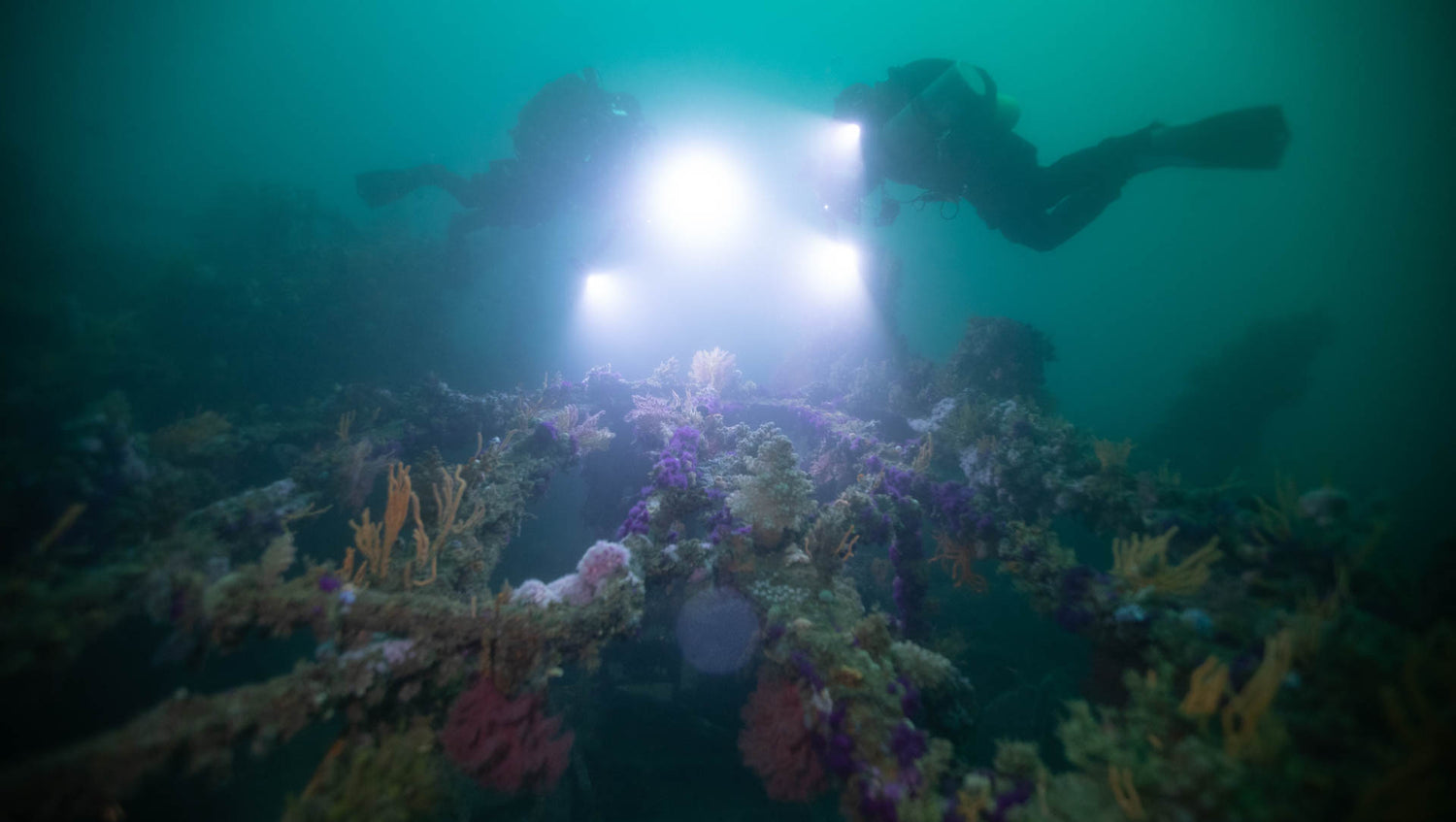Exploring the wreck of the Orotava near Cape point