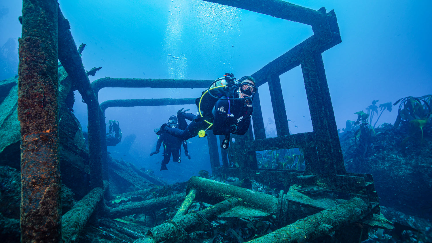Divers exploring the famous cape town wreck Bos400