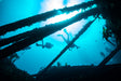 Divers exploring a wreck in cape town