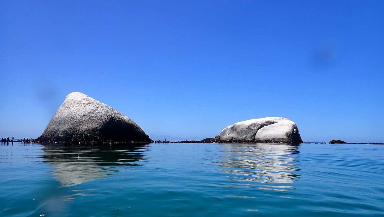 Rocks sticking out of the water in simonstown