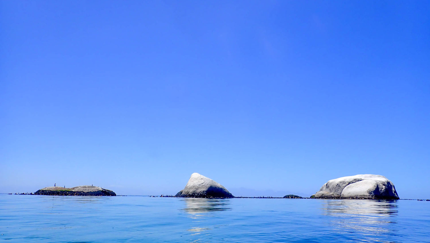 Rocky outcrops and blinders are quite common in cape town waters