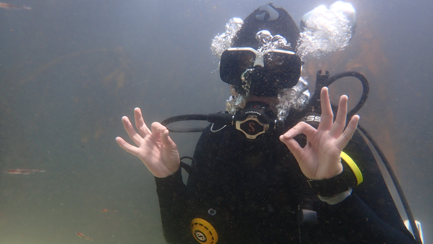 Practicing hand signals on the Padi ReActivate course