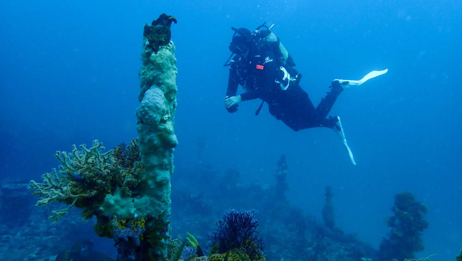 PADI Wreck Diver Specialty