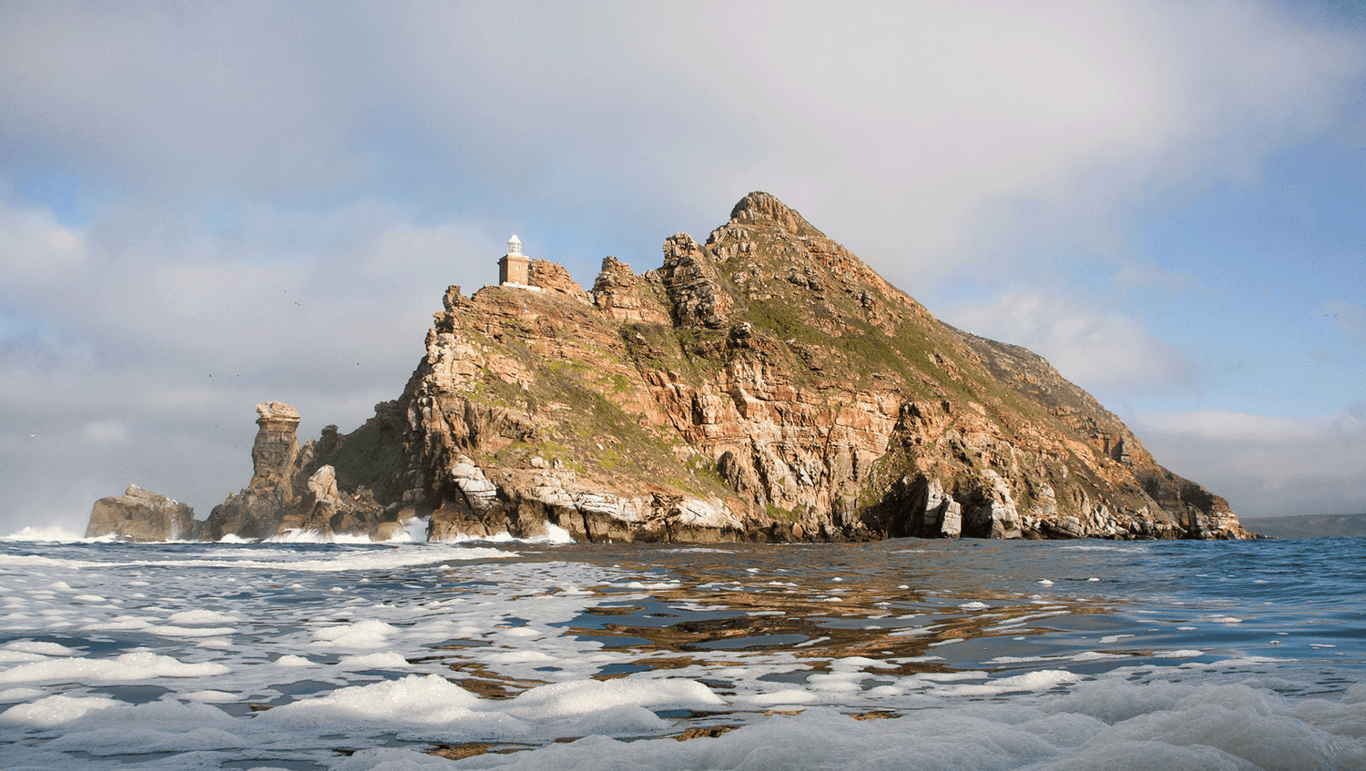 False Bay Ocean Safari