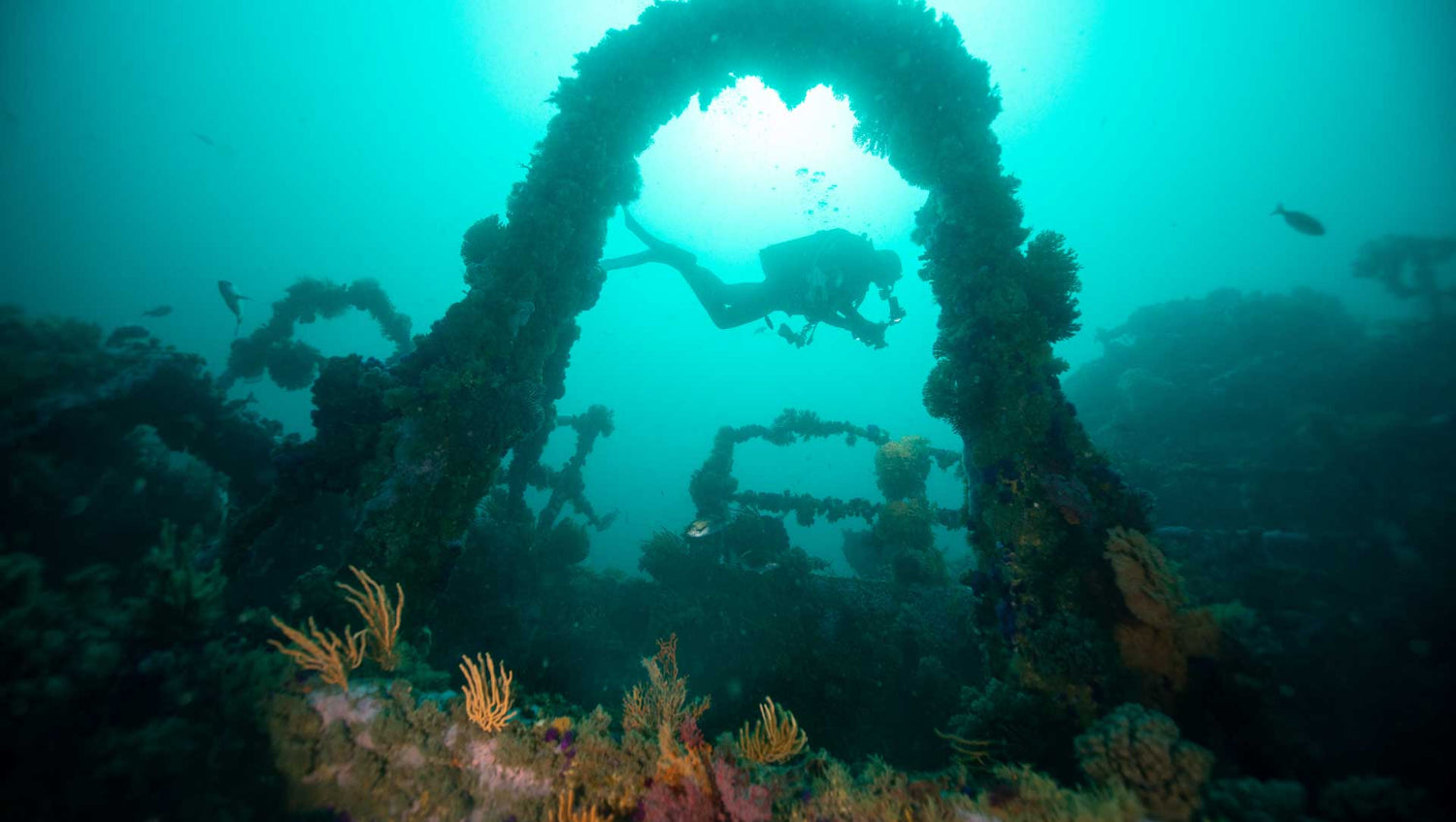 PADI Wreck Diver Specialty