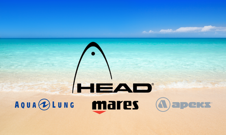 Head logo with mares, aqualung and apeks below
