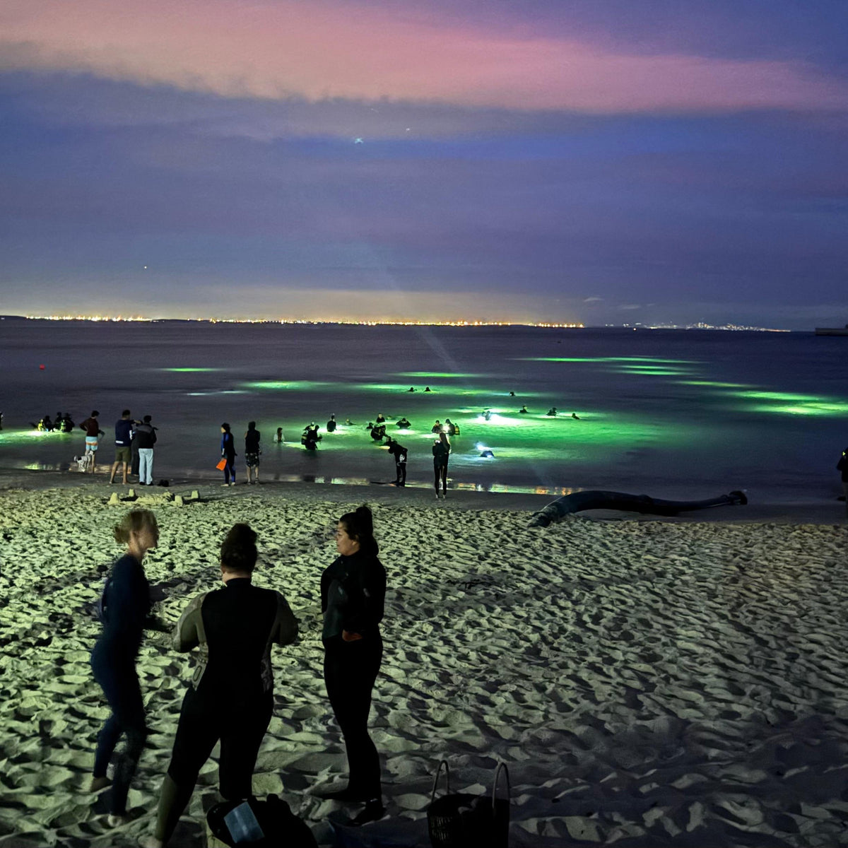 Divers Night 2024 Cape Town’s Dive Community Shines Bright! Dive