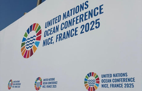 United Nations Ocean Conference 2025