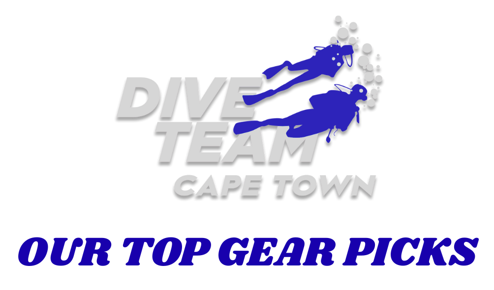 Best dive gear options south africa