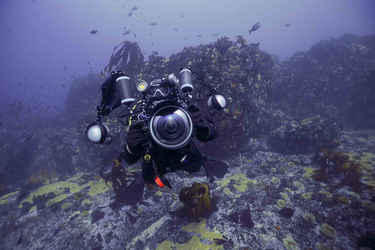 Underwater photographer on a cape town reef