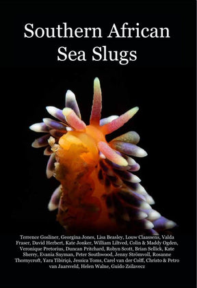 Book cover of 'Southern African Sea Slugs' with a colorful sea slug illustration on a black background.
