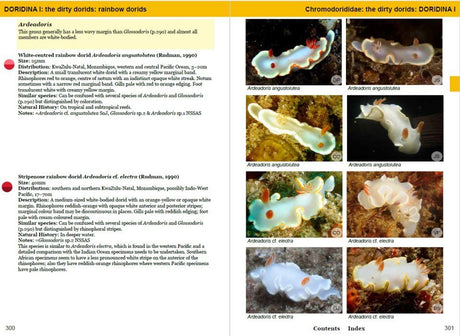Southern African Sea Slugs