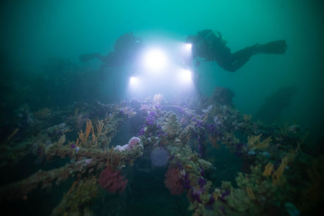 Exploring the wreck of the Orotava near Cape point