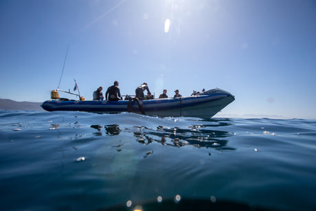 Scuba divers getting back on the boat