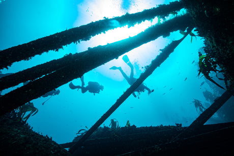 Divers exploring a wreck in cape town