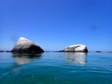 Rocks sticking out of the water in simonstown