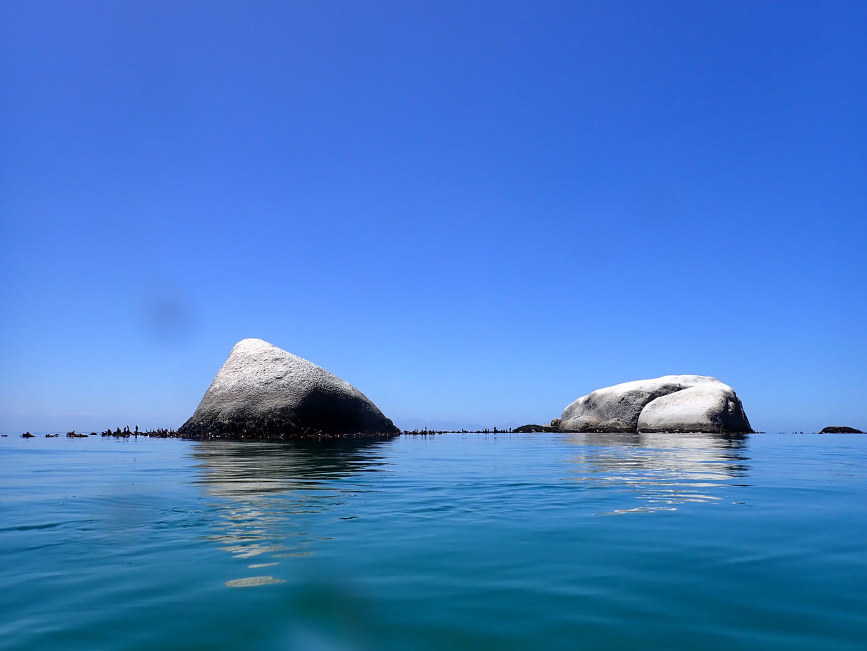 PADI Open Water Course