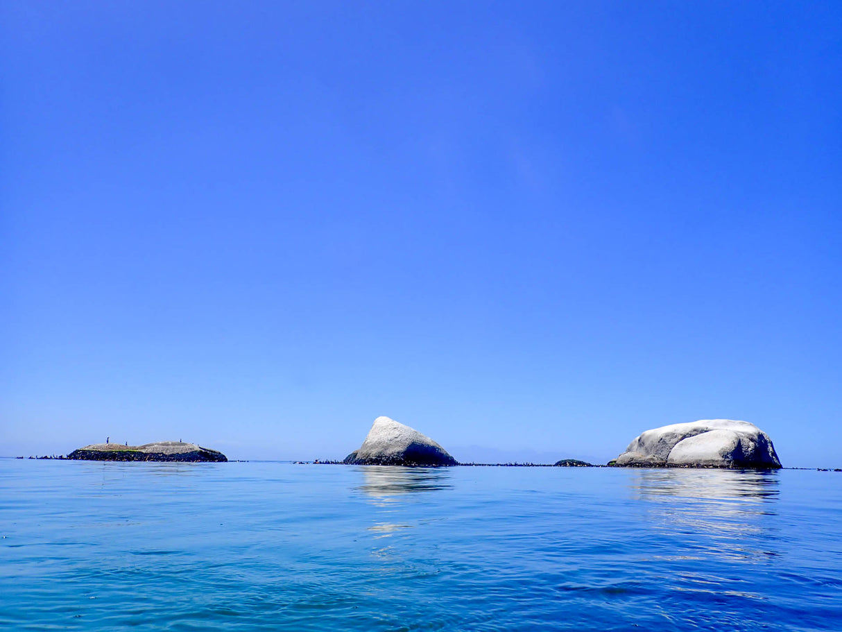 Rocky outcrops and blinders are quite common in cape town waters