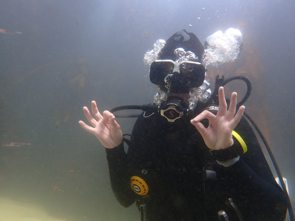 Practicing hand signals on the Padi ReActivate course