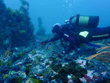 Filming and navigating on a wreck