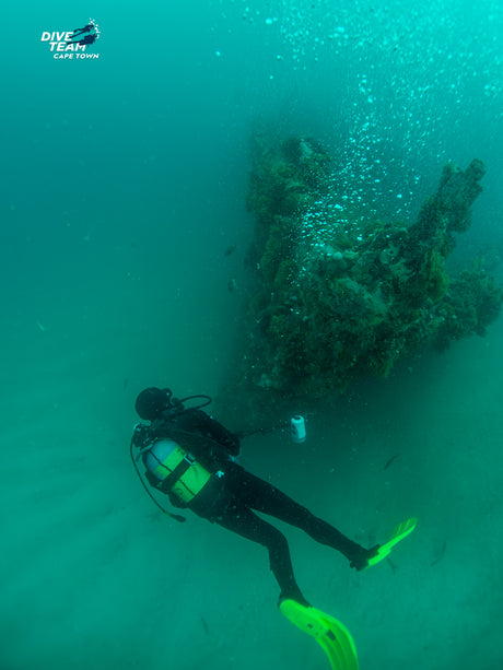 Diver admiring the Pietermaritzburg wreck in cape town