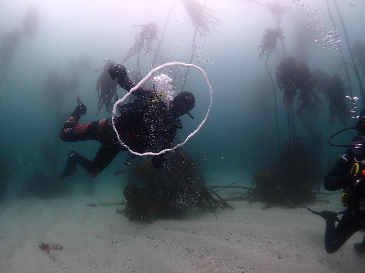 PADI Open Water Course