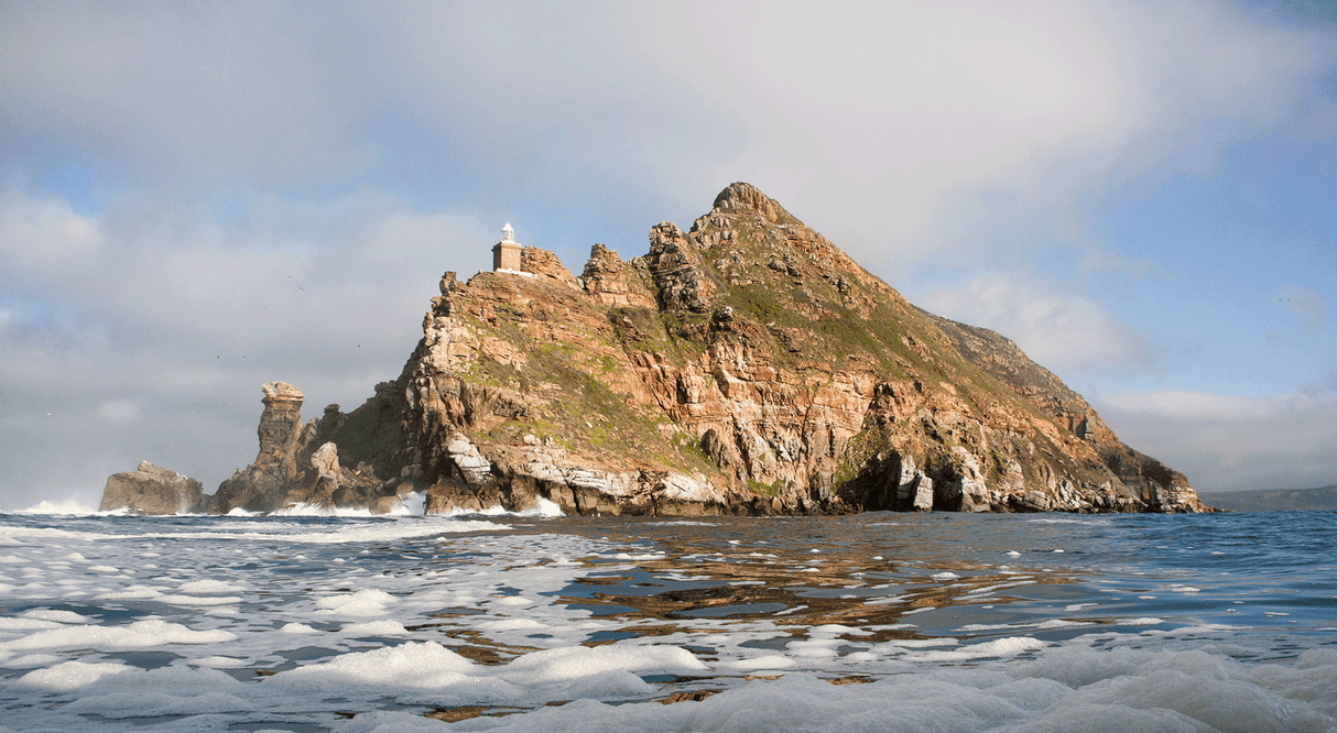 False Bay Ocean Safari