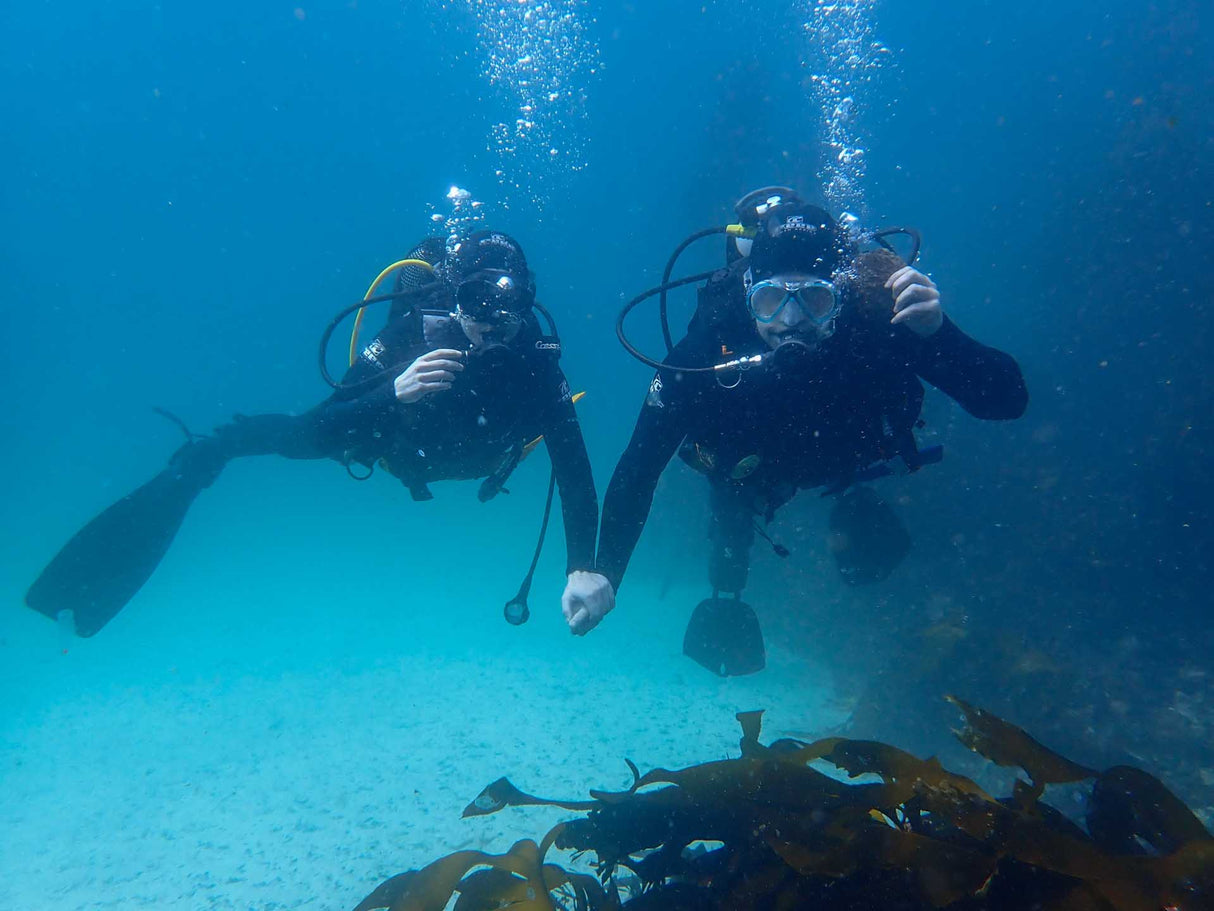 Couple on their first scuba dive in cape town