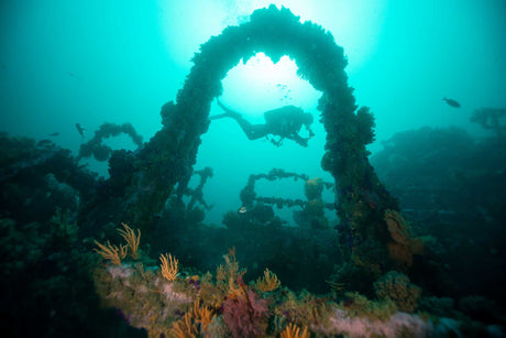 Underwater photographer on the Princess Elizabeth wreck near smitswinkel bay