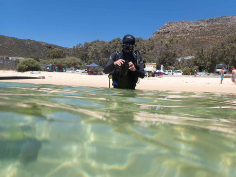 Getting ready to start the dive at long beach in simonstown