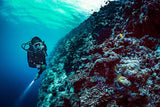 Suunto EON Core Dive Computer