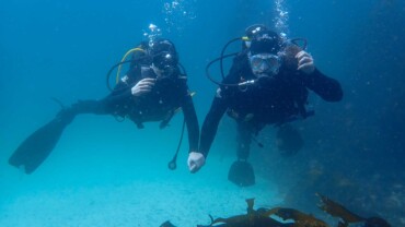 PADI ReActivate Students on a dive in the kelp forests