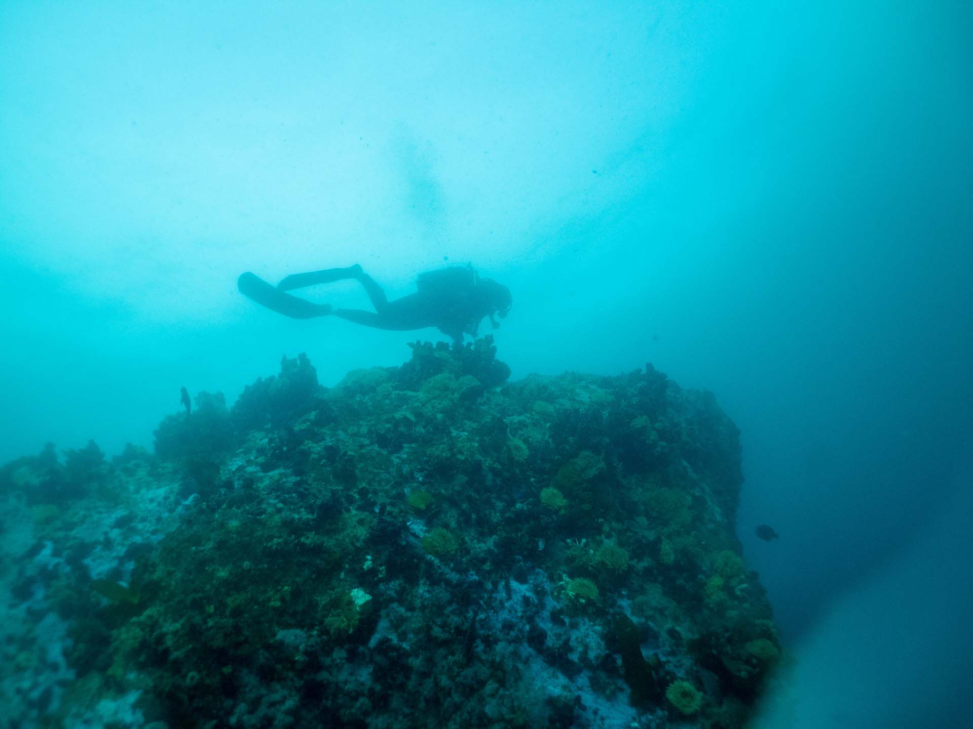PADI – Underwater navigator