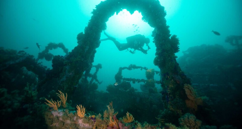 Scuba diver exploring one of the smitswinkelbay wrecks in Cape Town