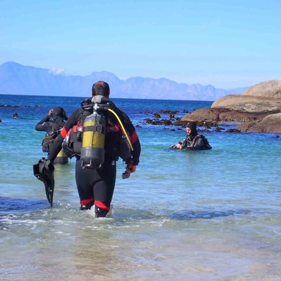Shore Divers entering the water at Windmill Beach in Cape Town