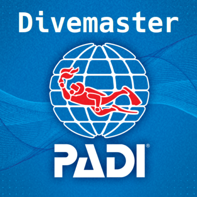 PADI - Divemaster course