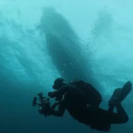 Ofek Liepaz, Underwater photographer in Cape Town